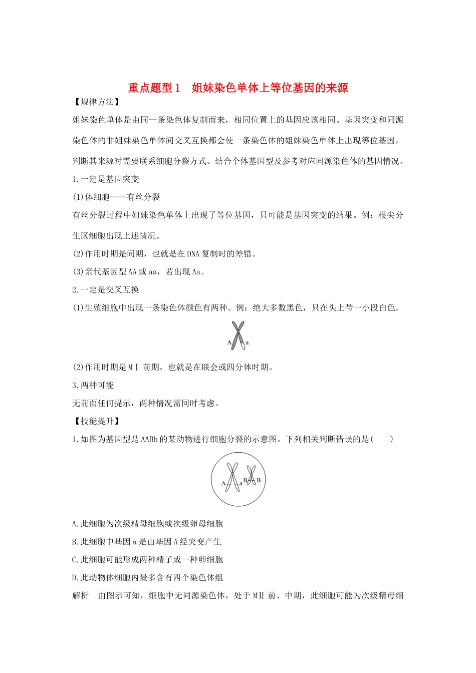 高考生物总复习 第二部分 选择题必考五大专题 专题二 细胞的增殖与分化 重点题型1 姐妹染色单体上等位基因的来源学案-人教版高三全册生物学案_第1页