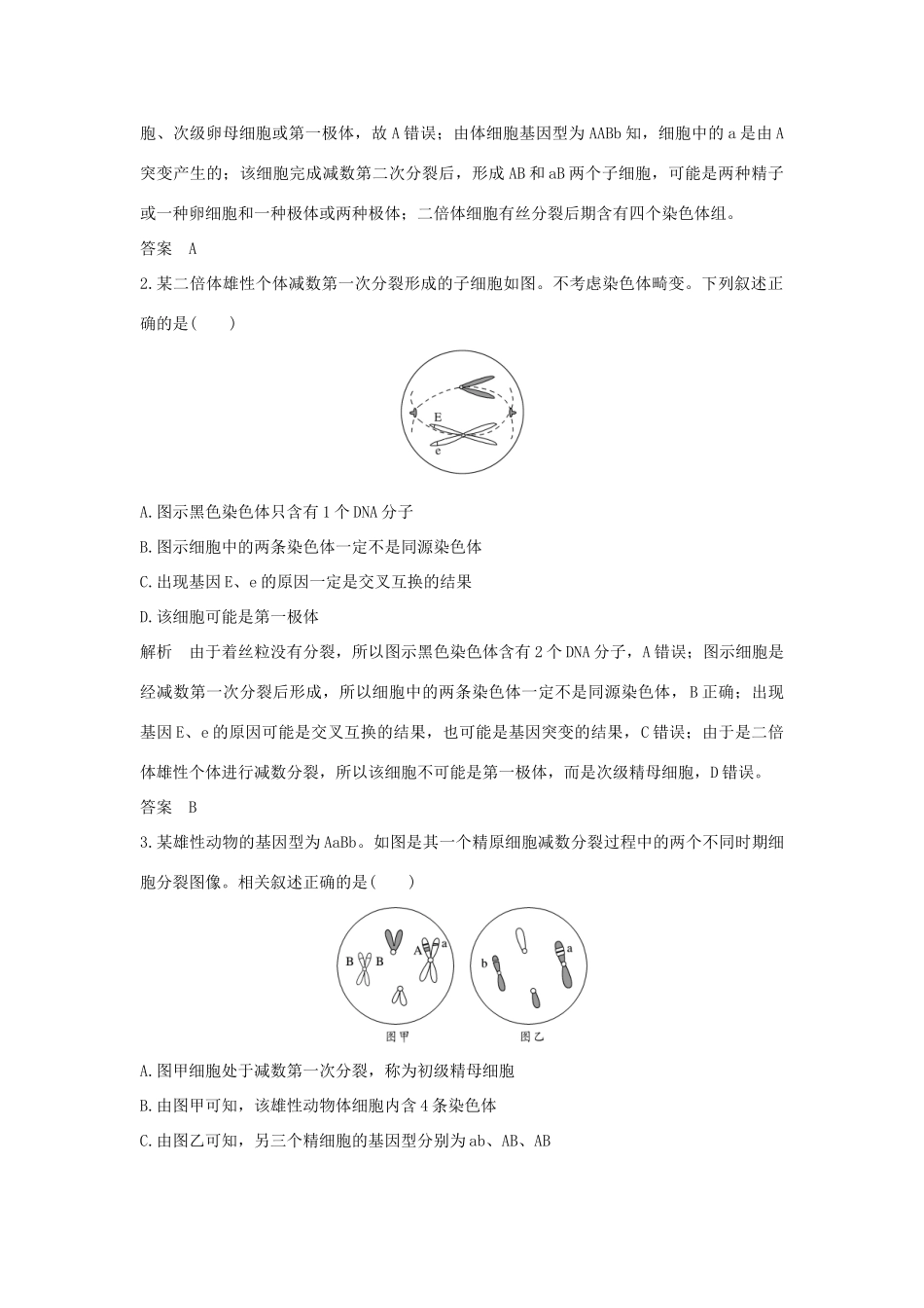 高考生物总复习 第二部分 选择题必考五大专题 专题二 细胞的增殖与分化 重点题型1 姐妹染色单体上等位基因的来源学案-人教版高三全册生物学案_第2页