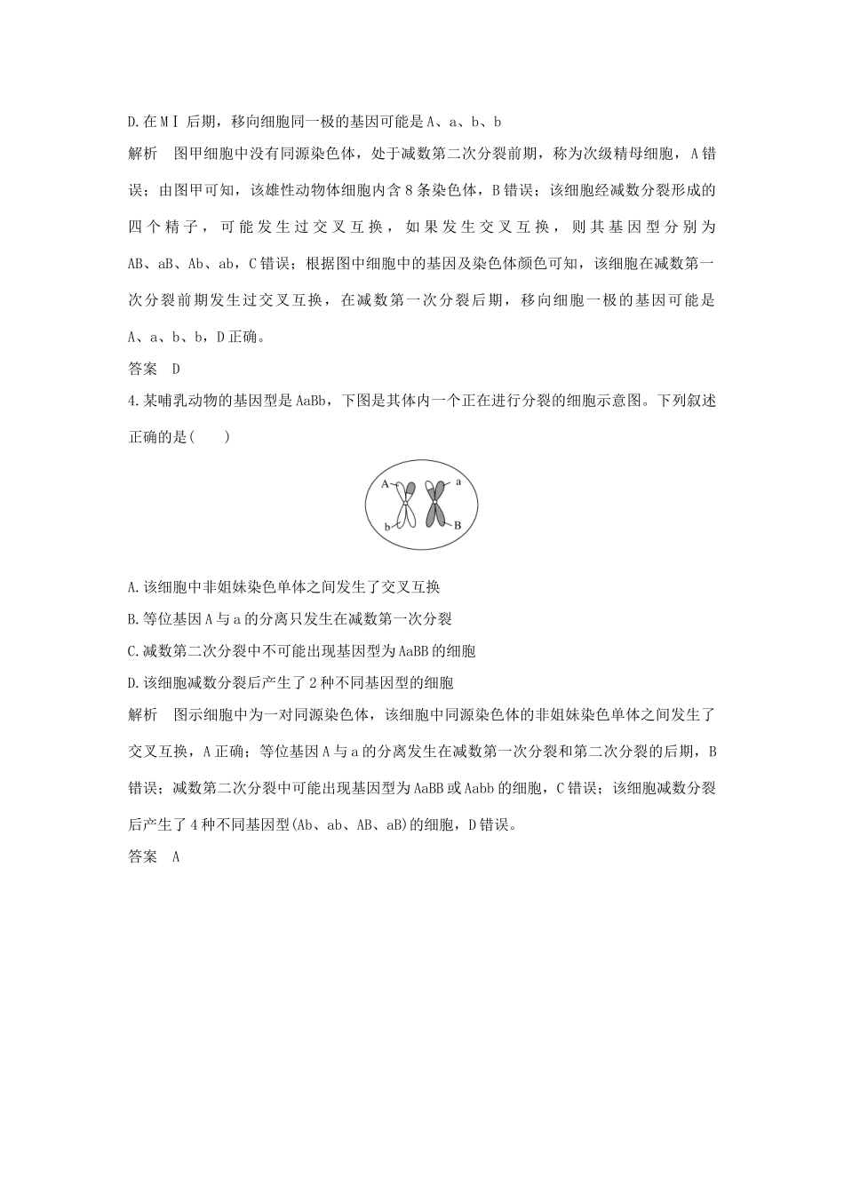 高考生物总复习 第二部分 选择题必考五大专题 专题二 细胞的增殖与分化 重点题型1 姐妹染色单体上等位基因的来源学案-人教版高三全册生物学案_第3页