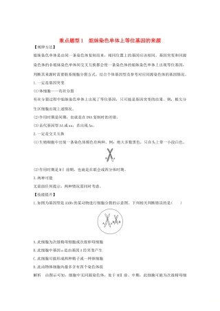 高考生物总复习 第二部分 选择题必考五大专题 专题二 细胞的增殖与分化 重点题型1 姐妹染色单体上等位基因的来源学案-人教版高三全册生物学案