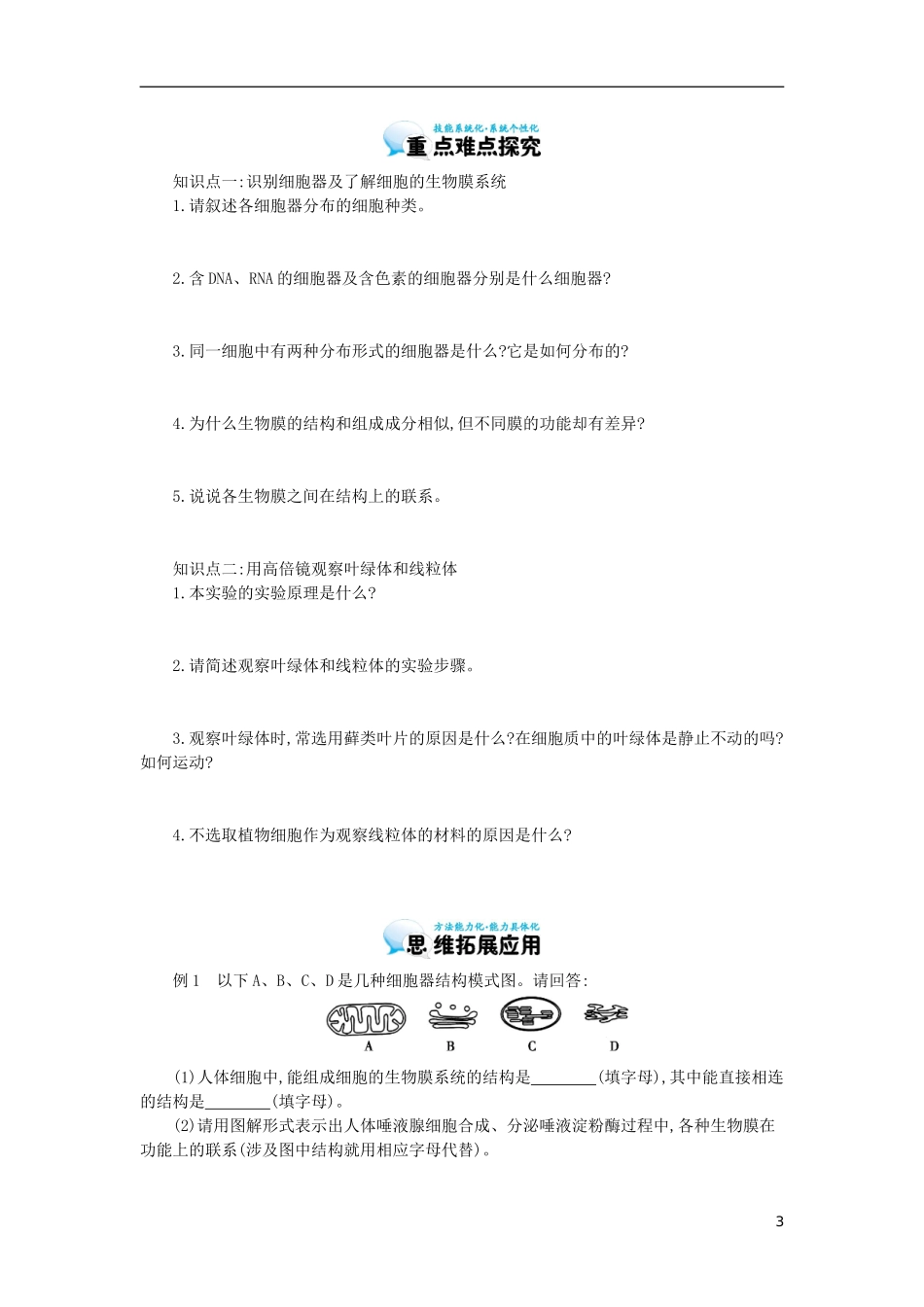 高中生物 第3章 第2节 细胞器-系统内的分工合作导学案 新人教版必修1-新人教版高一必修1生物学案_第3页