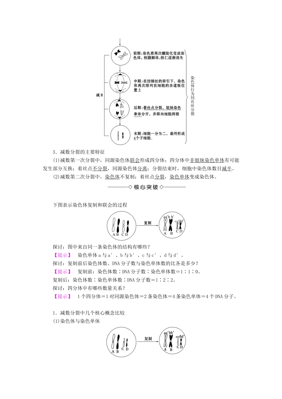 高中生物 第2章 减数分裂和有性生殖 第1节 减数分裂学案 苏教版必修2-苏教版高二必修2生物学案_第2页