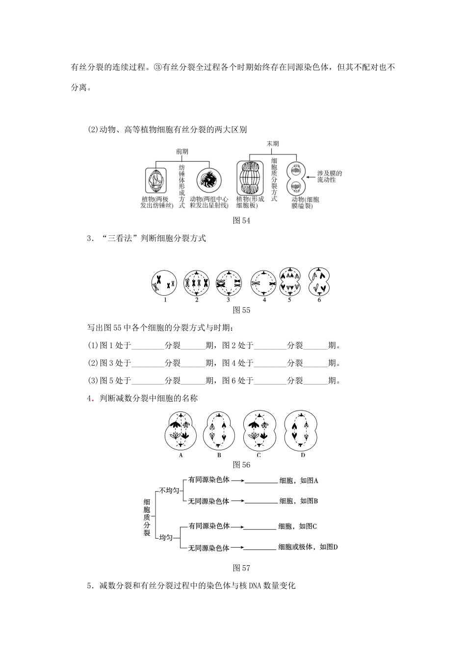 高考生物二轮复习 专题 细胞的增殖、分化、衰老、凋亡和癌变导学案-人教版高三全册生物学案_第3页