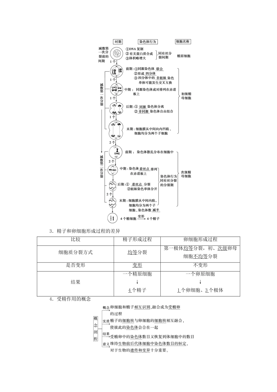 （新高考）高考生物一轮复习 必修部分 模块1 分子与细胞 第4单元 细胞的生命历程 第2讲 减数分裂和受精作用学案 新人教版-新人教版高三必修生物学案_第2页