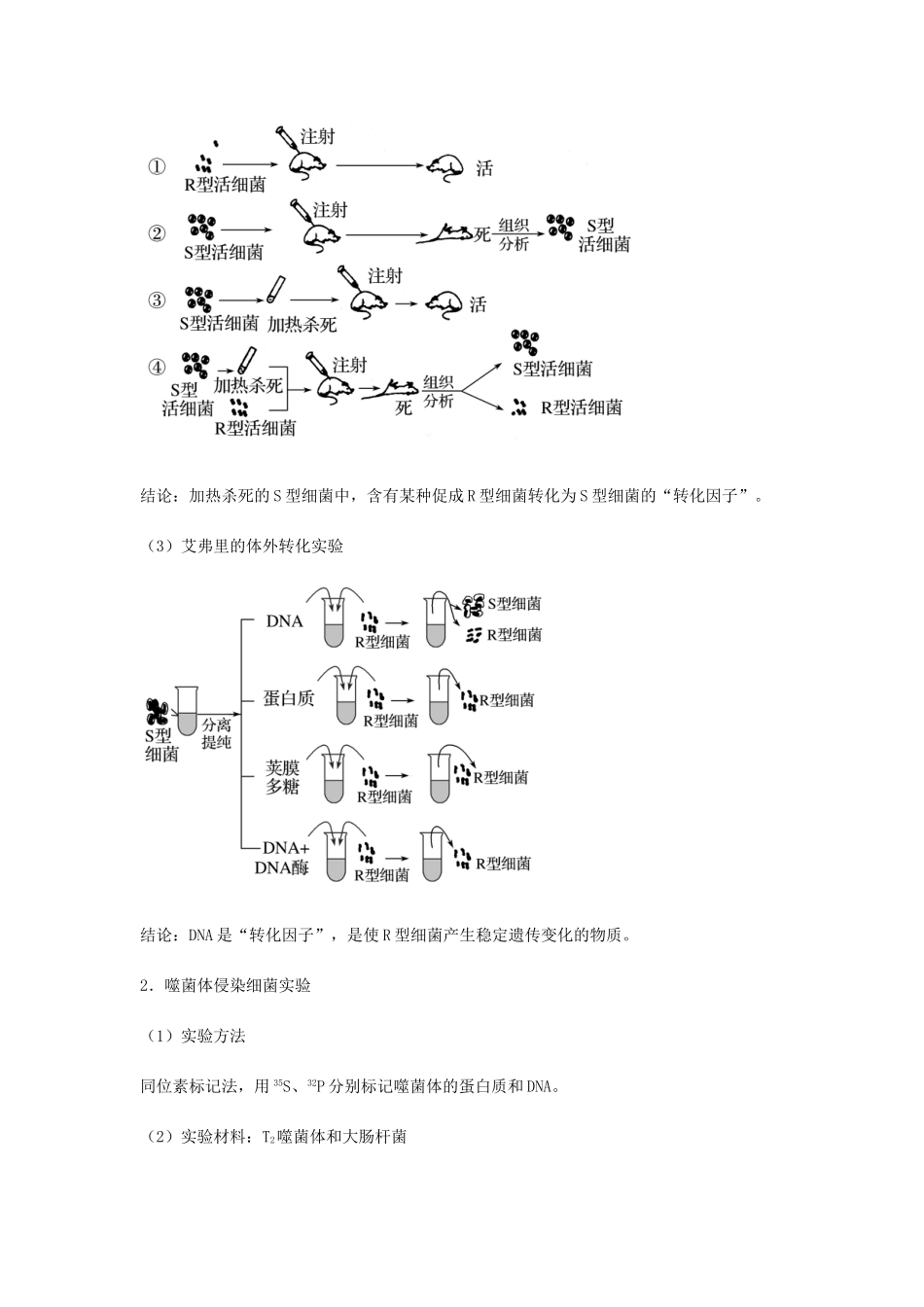 （全国通用）高考生物总复习《DNA是主要的遗传物质》专题突破学案-人教版高三全册生物学案_第2页