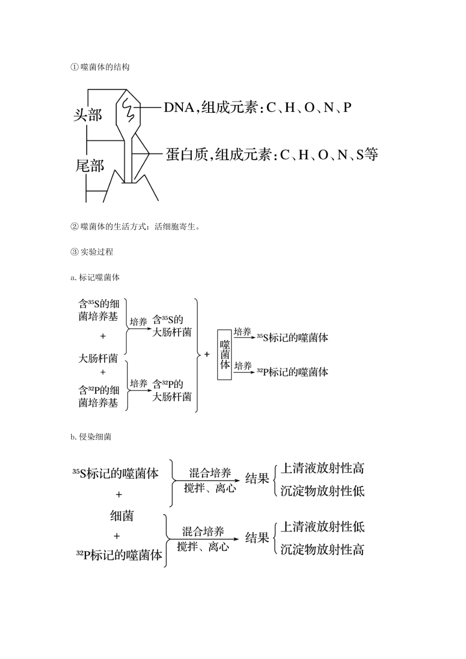 （全国通用）高考生物总复习《DNA是主要的遗传物质》专题突破学案-人教版高三全册生物学案_第3页