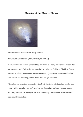 九年级英语Unit 15 We’re trying to save the manatees文章 Manatee of the Month新人教版