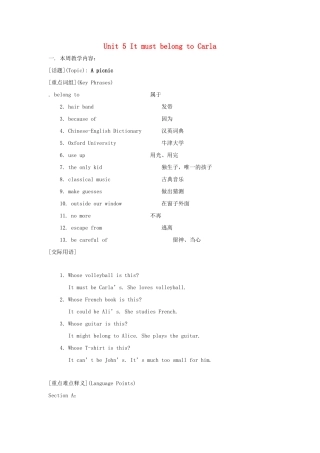 九年级英语 Unit 5 It must belong to Carla教案 人教新目标版
