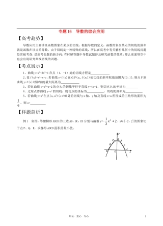 高三数学二轮复习 专题16导数的综合应用教案 苏教版