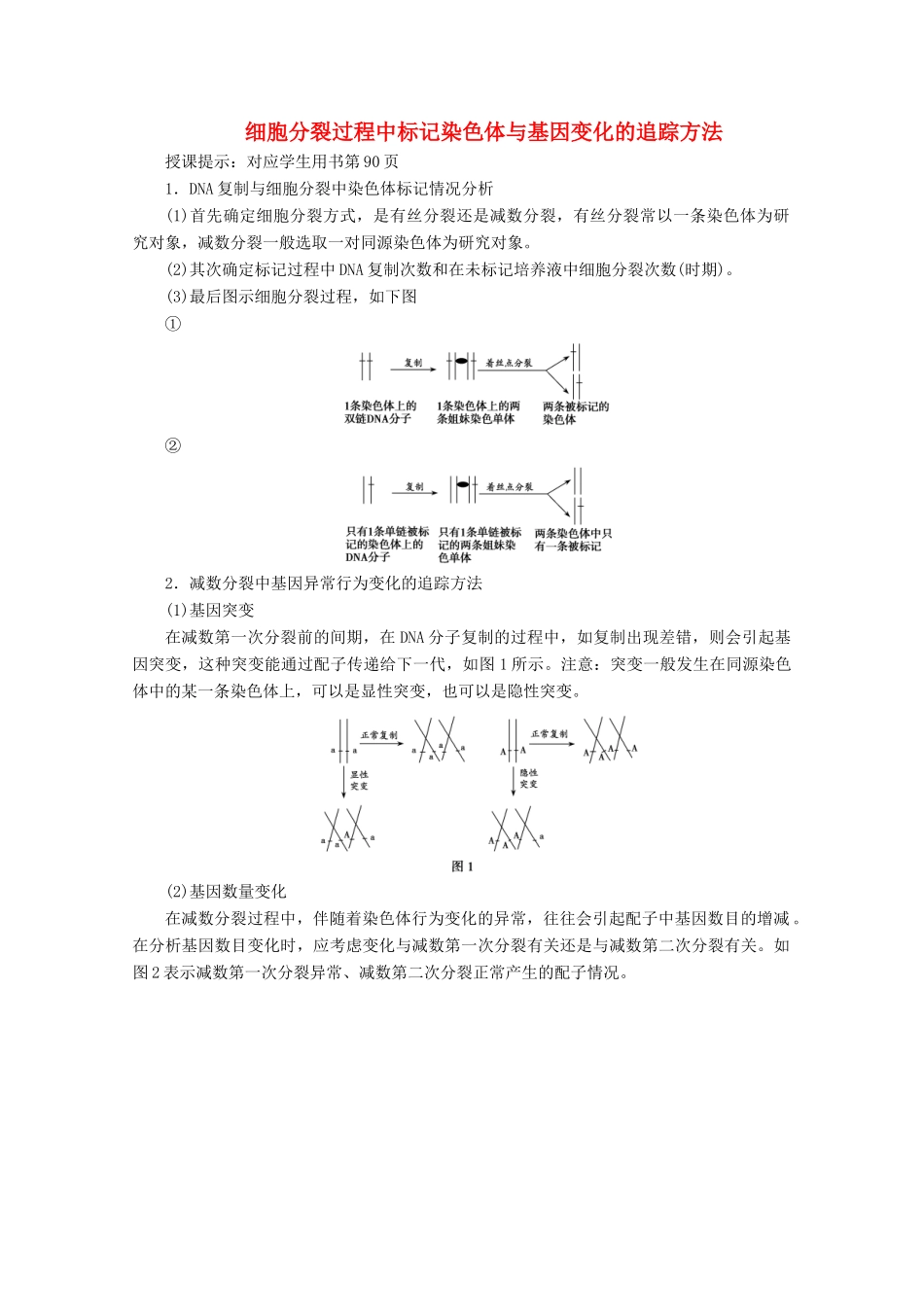 高考生物一轮复习 第四单元 细胞的生命历程 微讲座 细胞分裂过程中标记染色体与基因变化的追踪方法学案 新人教版-新人教版高三全册生物学案_第1页