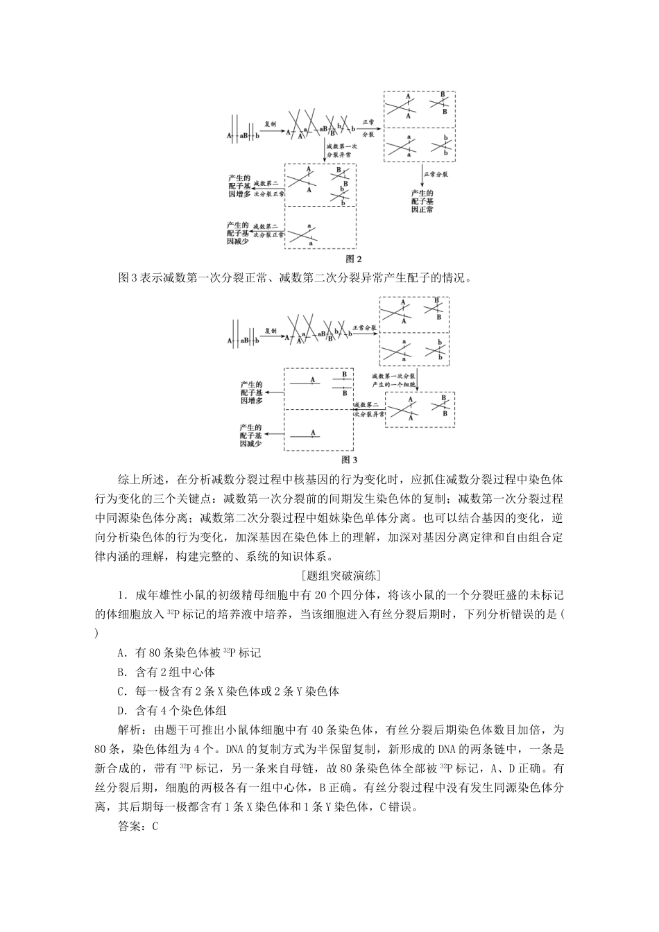 高考生物一轮复习 第四单元 细胞的生命历程 微讲座 细胞分裂过程中标记染色体与基因变化的追踪方法学案 新人教版-新人教版高三全册生物学案_第2页