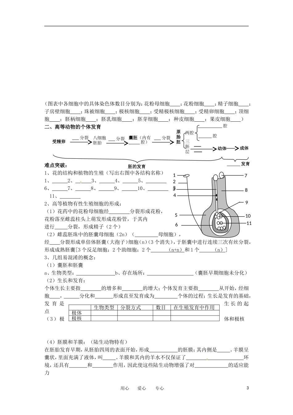 高考生物冲刺 生殖和发育学案 新人教版_第3页