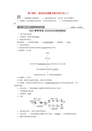 高中生物 第2章 遗传信息传递的结构基础 第1节 染色体是遗传信息的载体 第2课时 染色体在减数分裂中的行为（二）学案 北师大版必修2-北师大版高一必修2生物学案