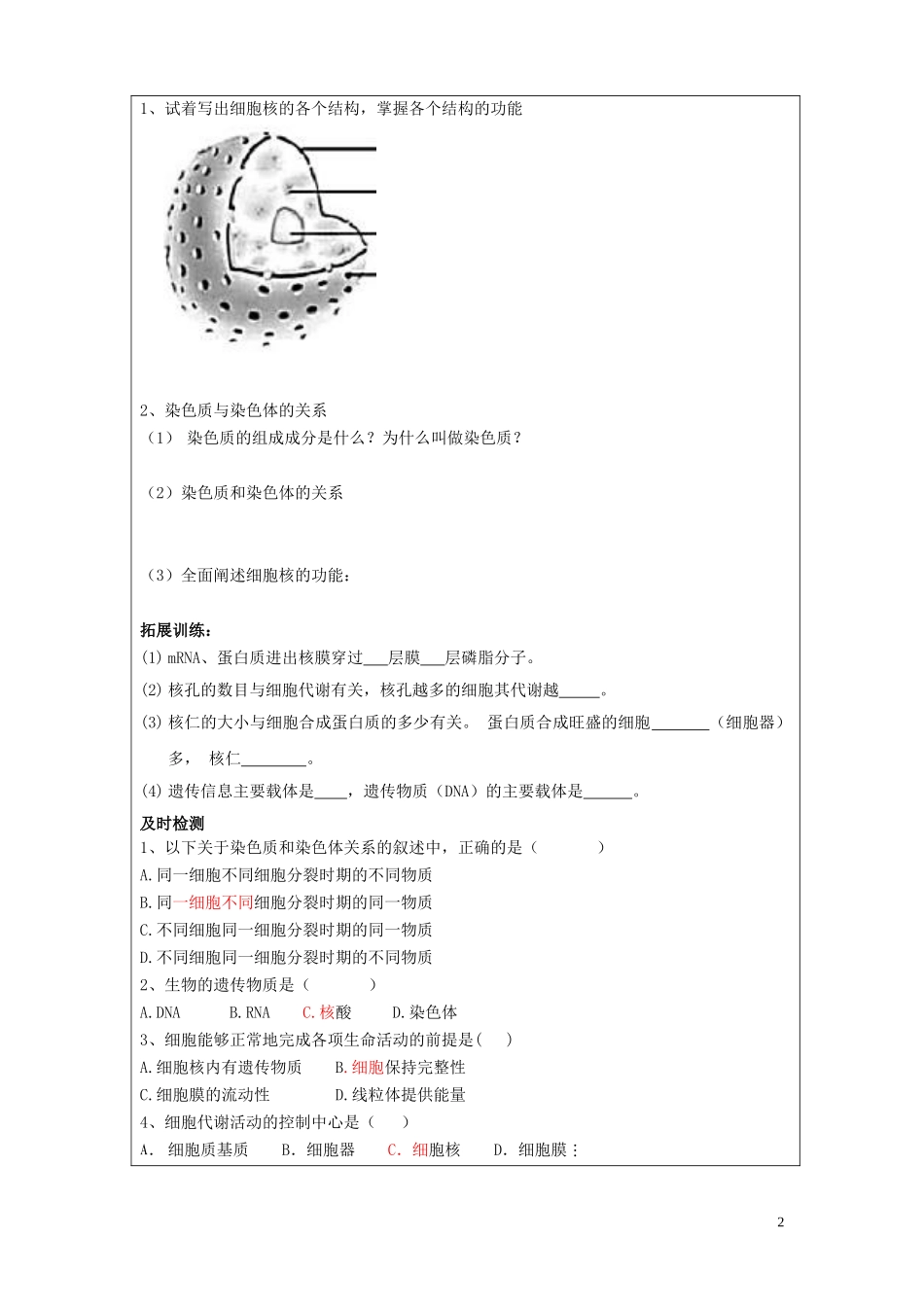 高中生物 3.1 细胞核导学案 新人教版必修1-新人教版高一必修1生物学案_第2页