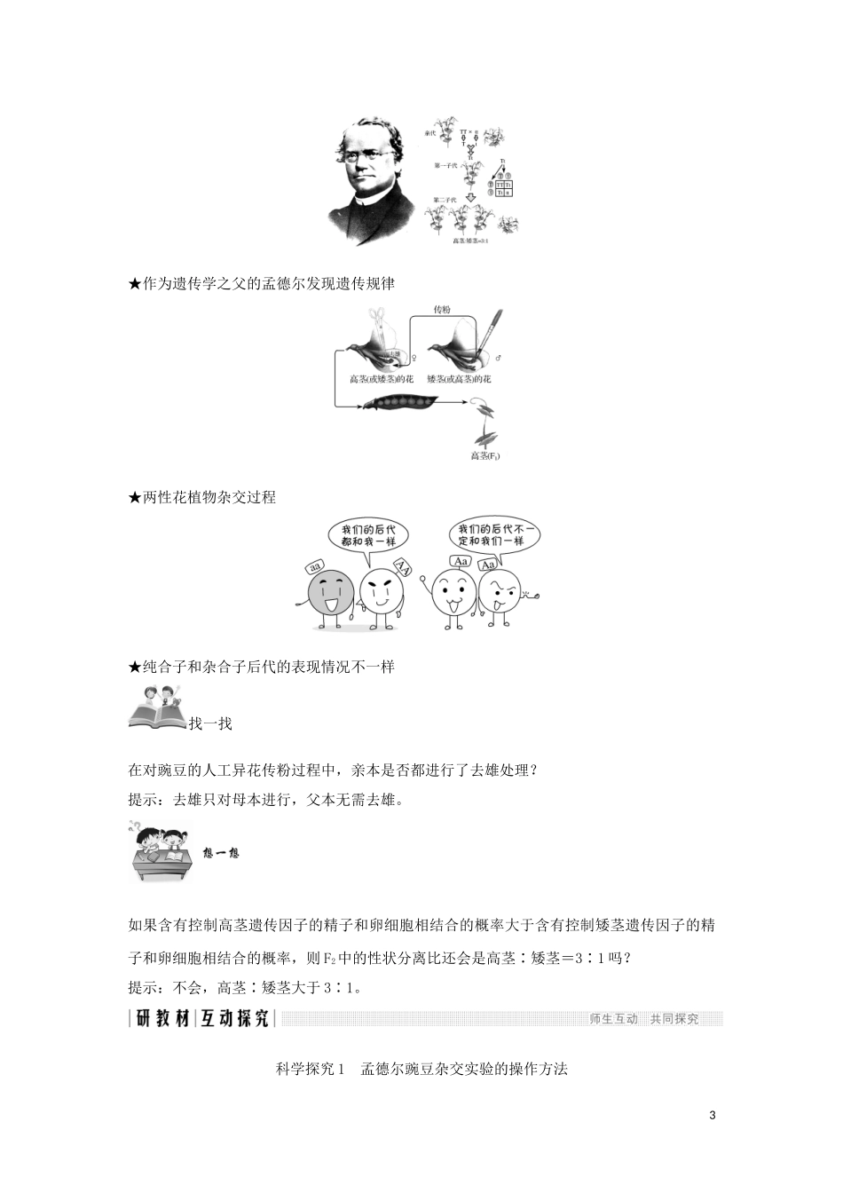高中生物 第1章 遗传因子的发现 第1节 第1课时 豌豆杂交实验过程及解释学案 新人教版必修2-新人教版高一必修2生物学案_第3页