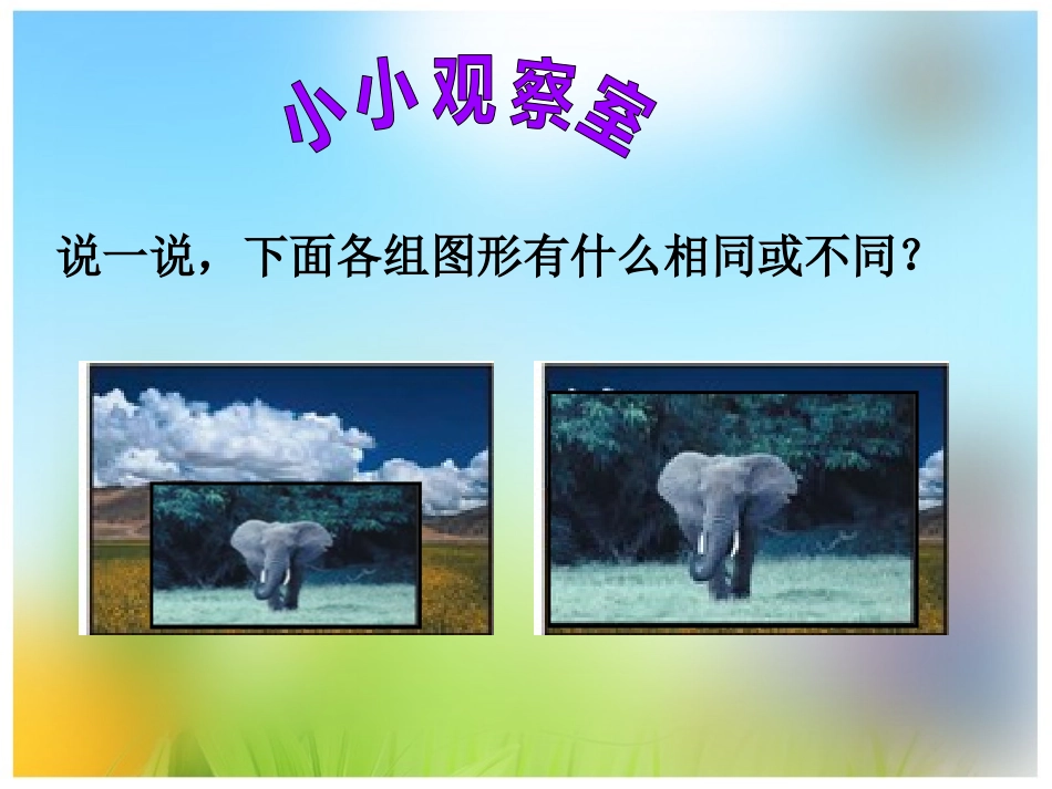 图形的放大或缩小_第2页