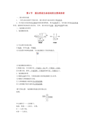 高中生物 2.4 蛋白质是生命活动的主要承担者学案 新人教版必修1-新人教版高中必修1生物学案