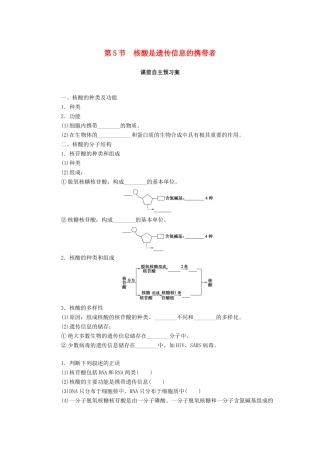 高中生物 第2章 组成细胞的分子 第5节 核酸是遗传信息的携带者学案 新人教版必修1-新人教版高一必修1生物学案