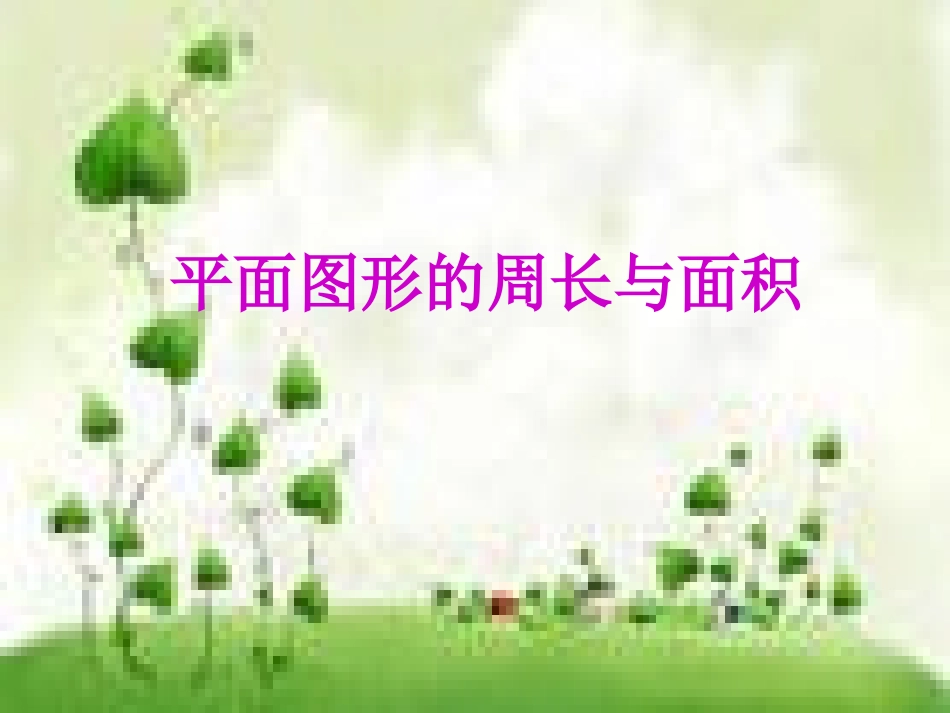 平面图形复习课_第1页