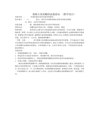 观察小鱼尾鳍的血液流动