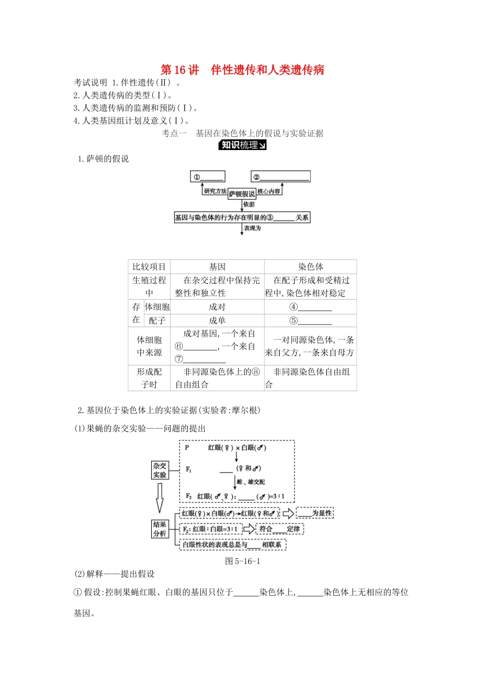 高考生物一轮复习 第5单元 遗传的基本规律和遗传的细胞基础 第16讲 伴性遗传和人类遗传病学案 苏教版-苏教版高三全册生物学案_第1页