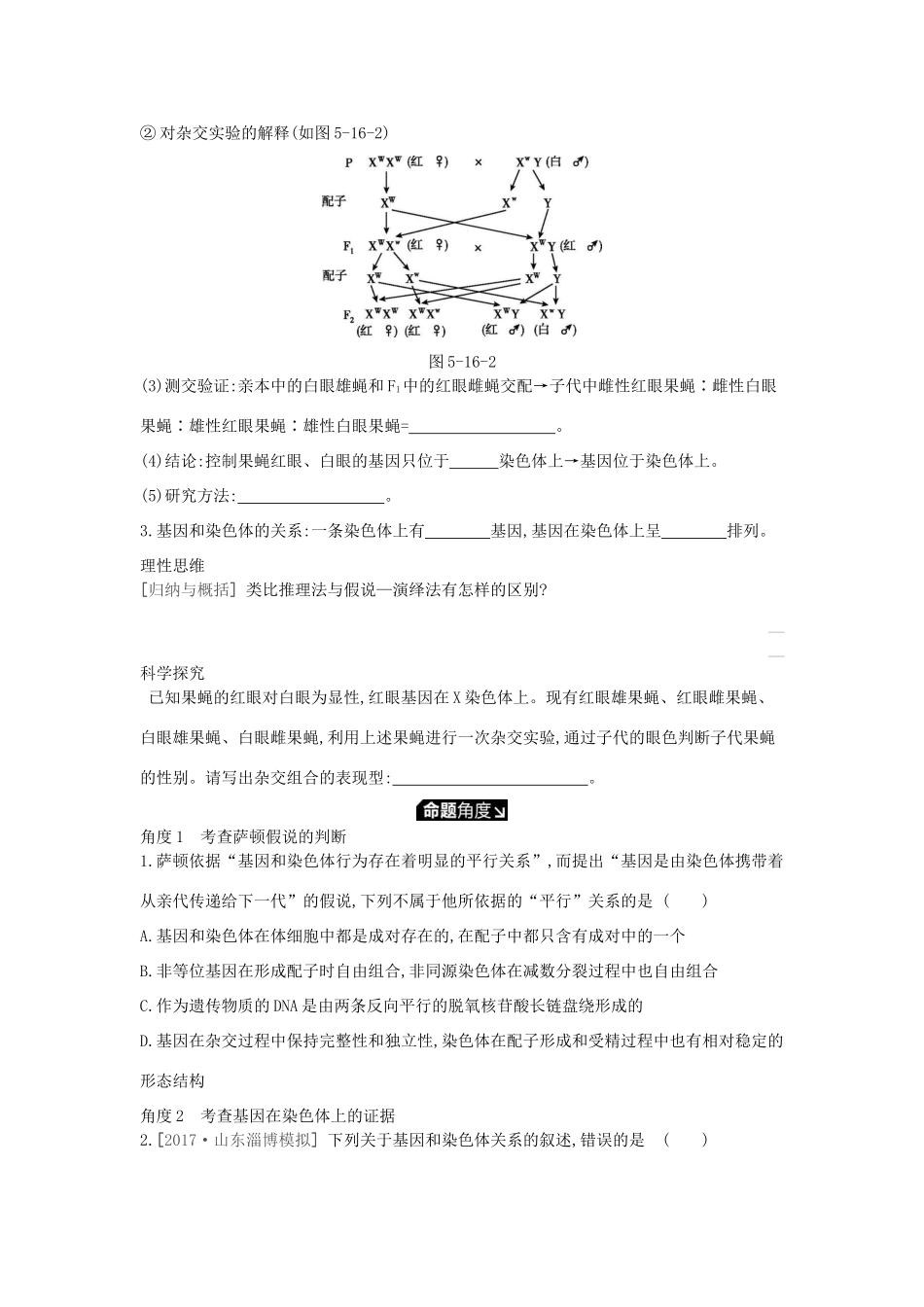 高考生物一轮复习 第5单元 遗传的基本规律和遗传的细胞基础 第16讲 伴性遗传和人类遗传病学案 苏教版-苏教版高三全册生物学案_第2页