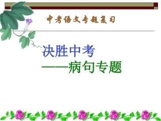 （银娅娟）中考语文复习修改病句专题课件