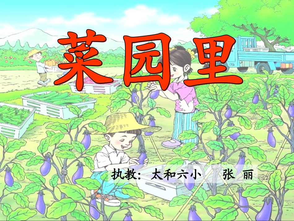 《菜园里》课件_第1页