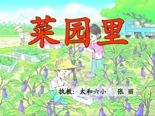 《菜园里》课件