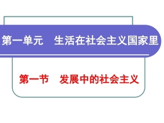 发展中的社会主义
