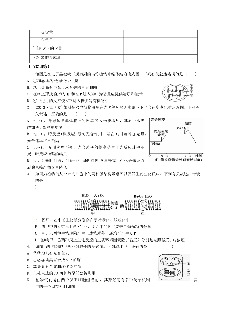 高三生物 光合作用复习学案2-人教版高三全册生物学案_第2页