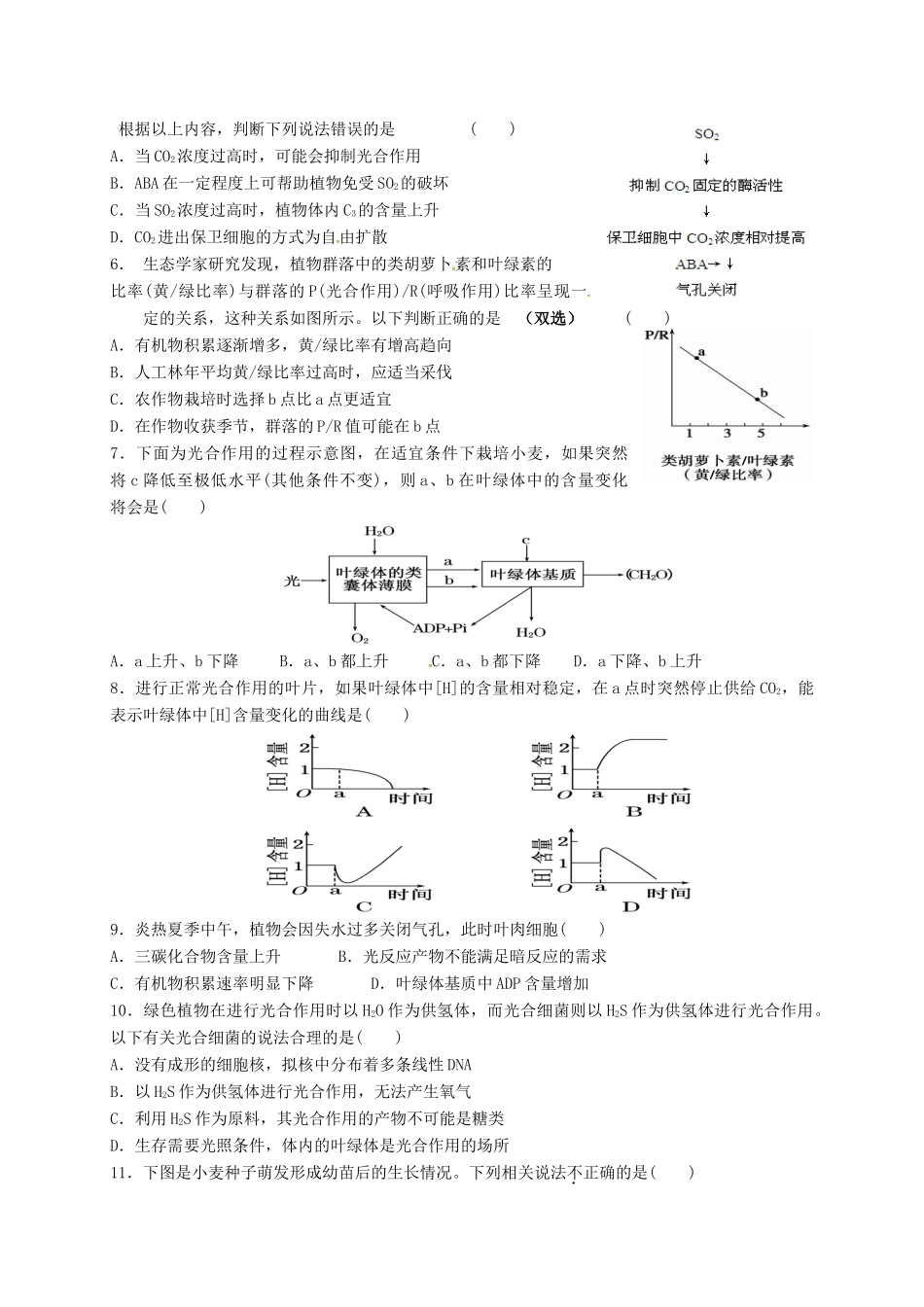 高三生物 光合作用复习学案2-人教版高三全册生物学案_第3页