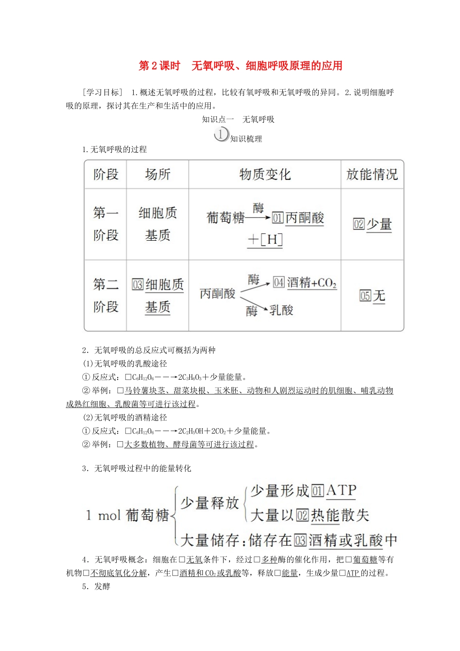 高中生物 第5章 第3节 第2课时 无氧呼吸、细胞呼吸原理的应用学案 新人教版必修1-新人教版高一必修1生物学案_第1页