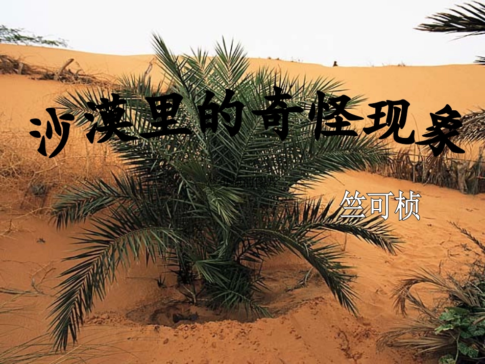 沙漠里的奇怪现象_第1页