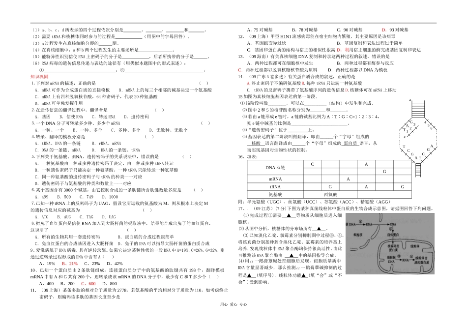 高三生物第4章第1节基因指导蛋白质的合成教学案新人教版_第2页