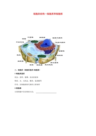 高考生物专题复习 5细胞的结构（细胞质和细胞核）学案-人教版高三全册生物学案