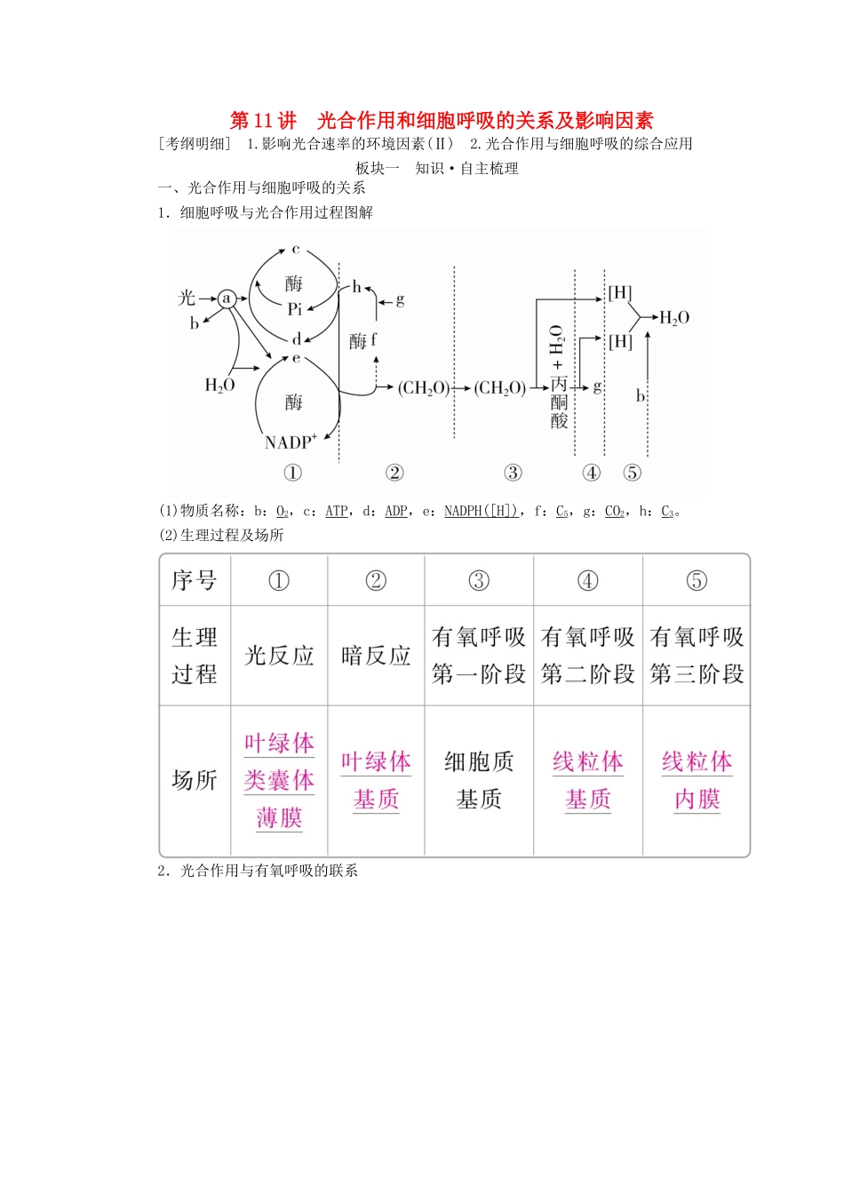 （全国版）高考生物一轮复习 第11讲 光合作用和细胞呼吸的关系及影响因素培优学案-人教版高三全册生物学案_第1页