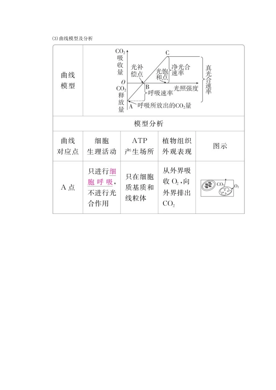 （全国版）高考生物一轮复习 第11讲 光合作用和细胞呼吸的关系及影响因素培优学案-人教版高三全册生物学案_第3页