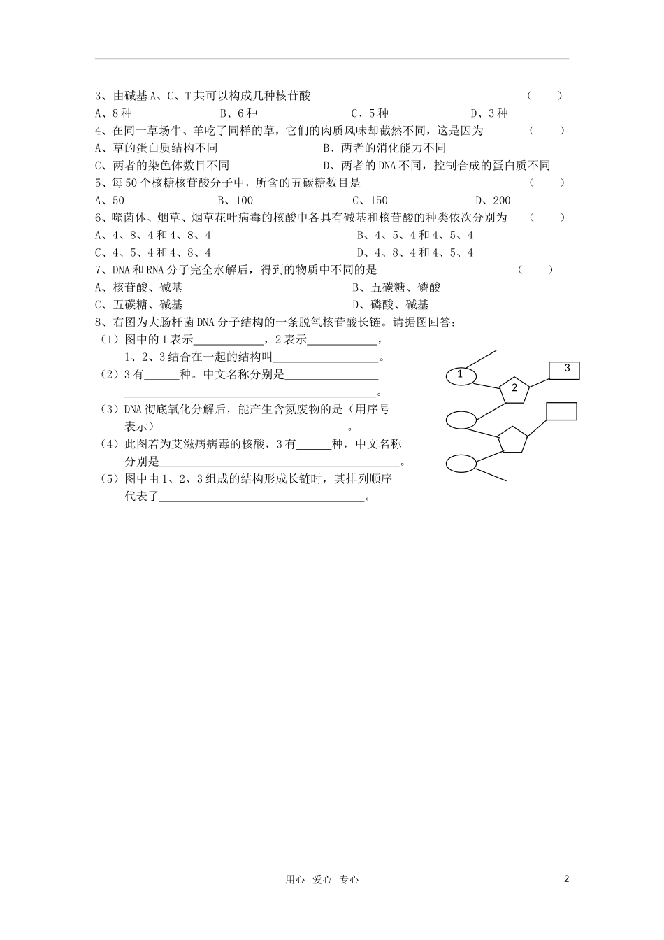 高中生物 2.2细胞中的生物大分子核酸的结构和功能学案 苏教版必修1_第2页