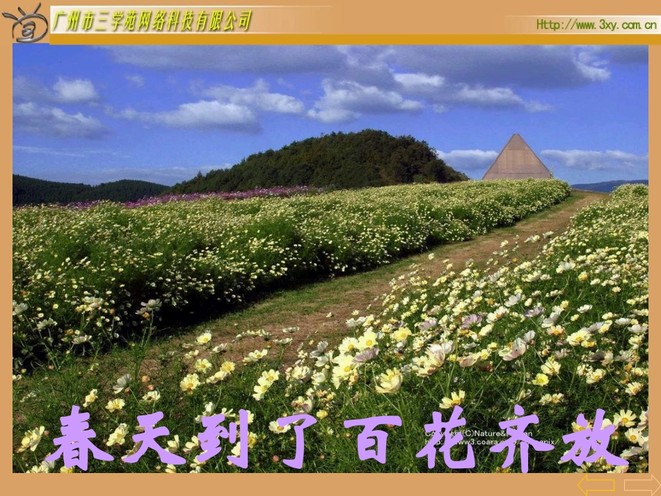 用乘加、乘减的两步运算_第3页