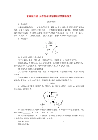 高中生物 第2章 神经调节 素养提升课 兴奋传导和传递特点的实验探究学案 新人教版选择性必修1-新人教版高中选择性必修1生物学案
