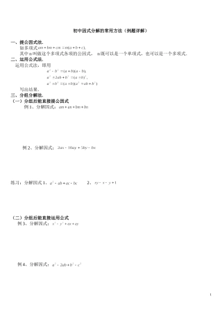 初中数学因式分解(精华例题)(学案)