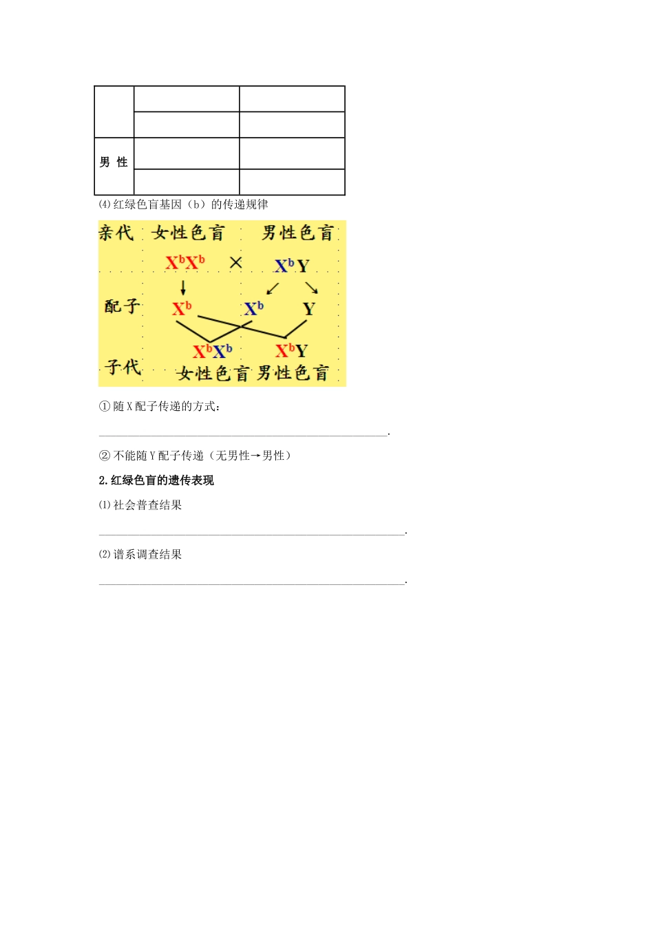 高考生物专题复习 7伴性遗传（一）性别决定和伴性遗传学案-人教版高三全册生物学案_第2页
