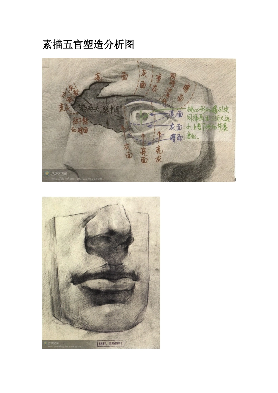 素描五官塑造分析图_第1页