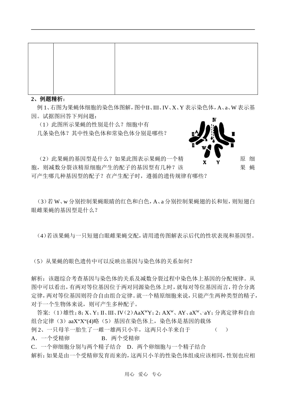 第05课时第二章第2节基因在染色体上_第3页