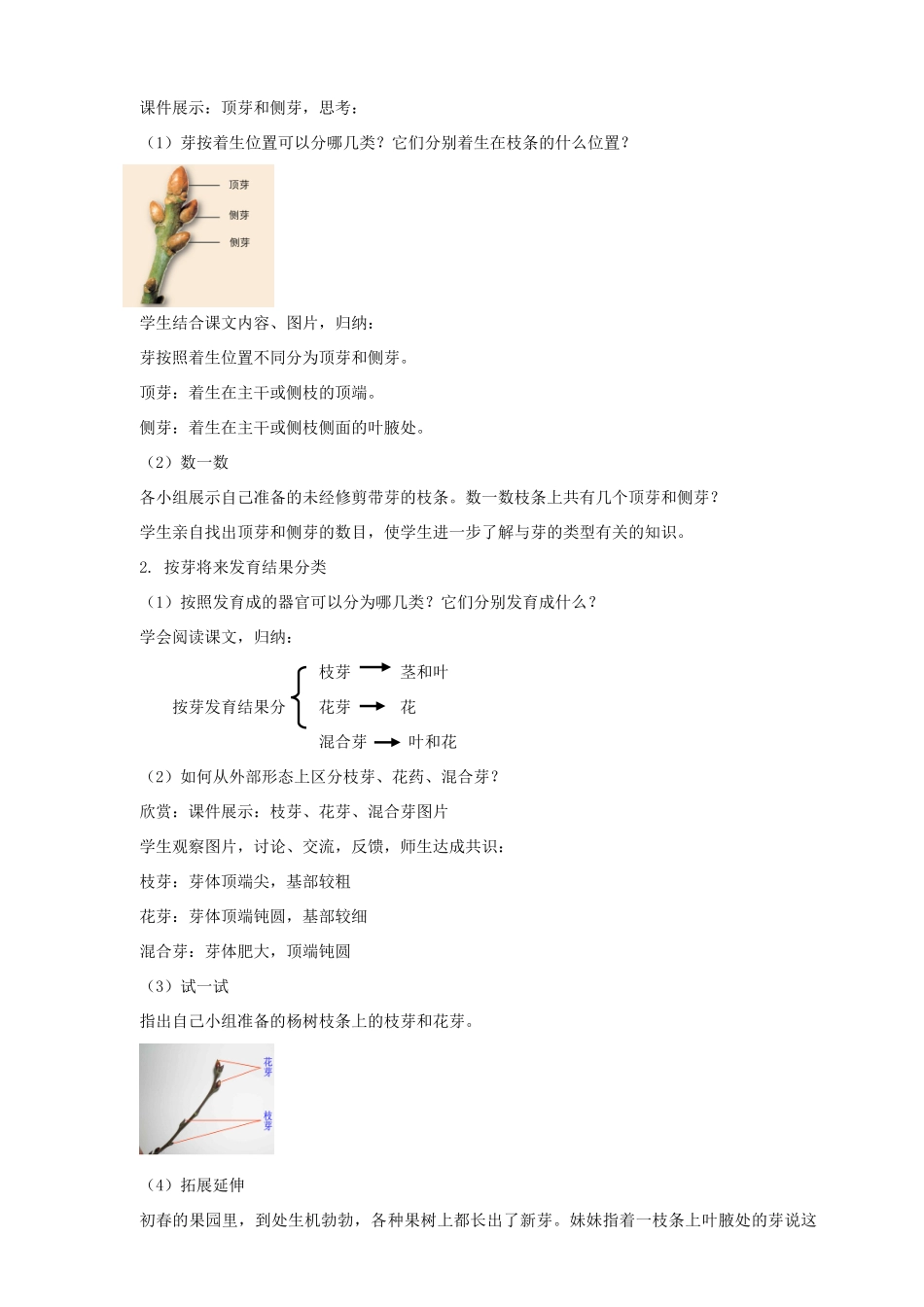 八年级生物上册 第一章 第六节《芽的类型和发育》教案 （新版）济南版_第2页