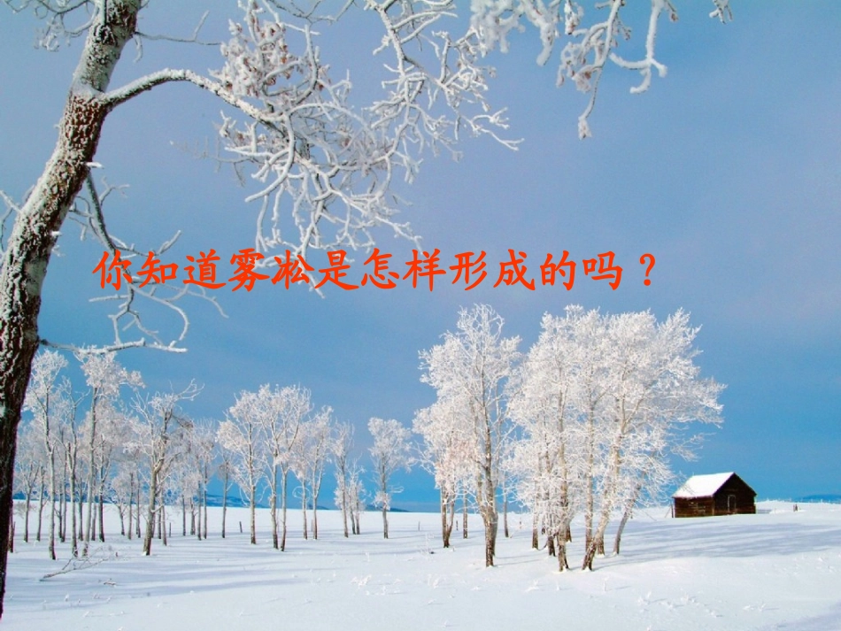 八年级物理升华和凝华_第2页