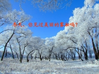 八年级物理升华和凝华