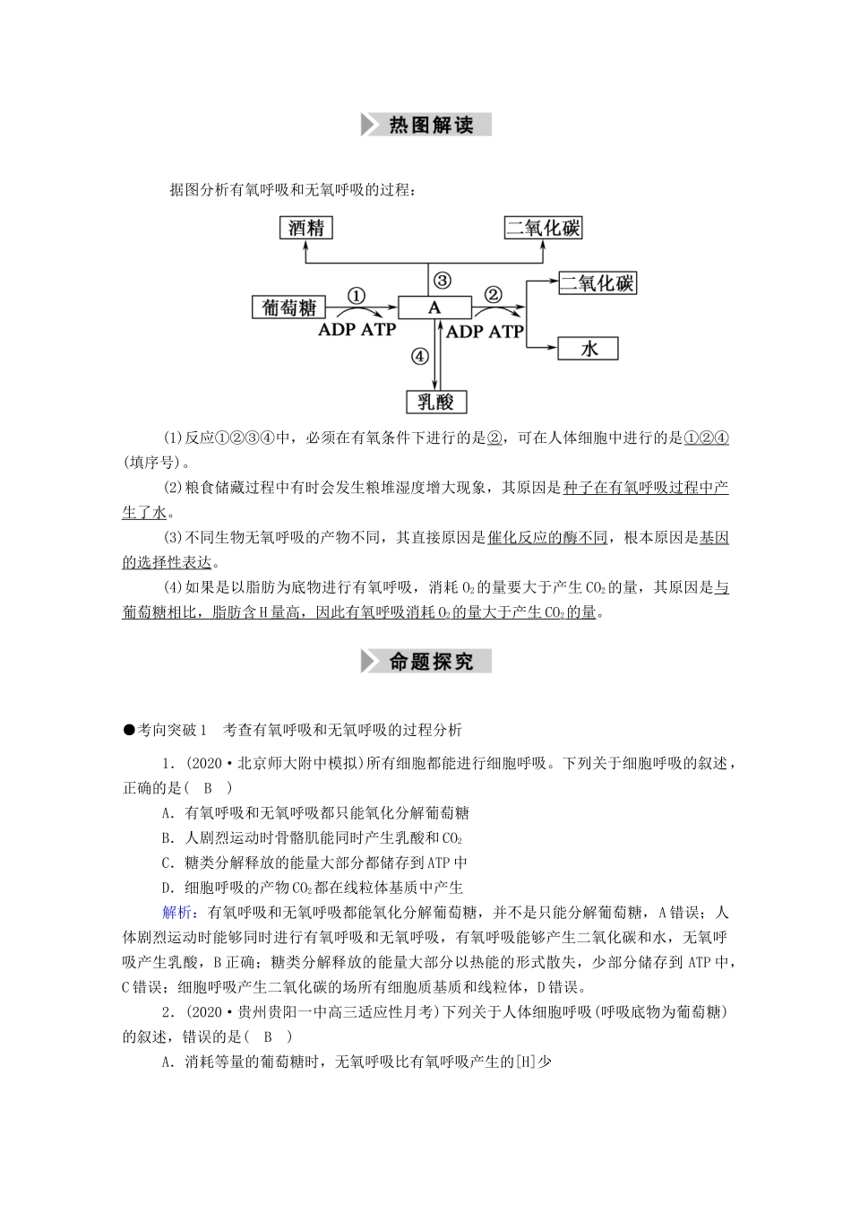 高考生物一轮复习 第三单元 细胞的能量供应和利用 第9讲 ATP的主要来源——细胞呼吸学案 新人教版-新人教版高三全册生物学案_第3页
