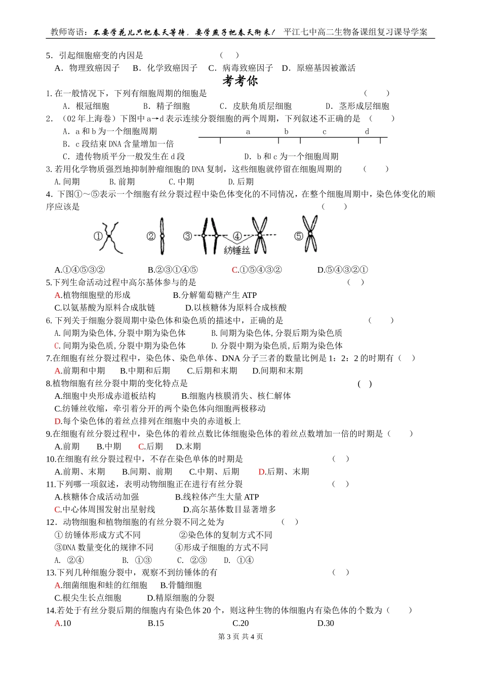 第3课时  有丝分裂_第3页